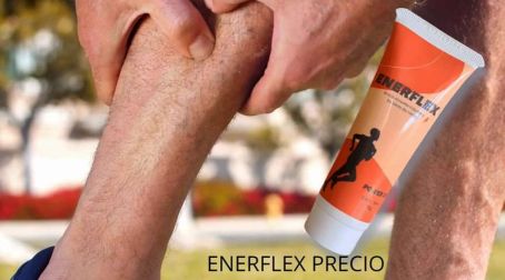 Enerflex Por Pami